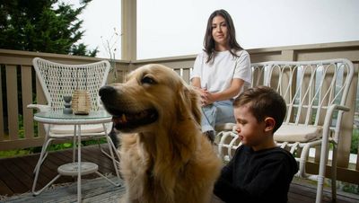 'Goalposts move further': ACT's new $1 million median suburbs