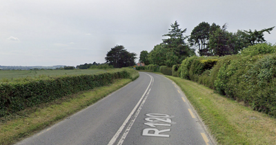 Man dies after being hit by car while out walking in Dublin as gardai close road