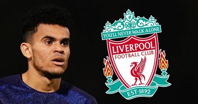 Luis Diaz Liverpool transfer: Julian Ward's role, four unsung heroes and how logistical nightmare was overcome