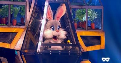 The Masked Singer viewers 'confident' who Robobunny is after working out off-screen clue