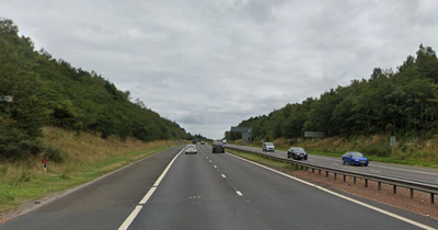Man dies after being hit by car while walking on M8 as cops search for identity