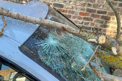 Sky Sports presenter left ‘badly shaken’ after tree crushes BMW during Storm Malik