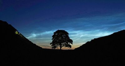 Stargazing events in 2022 to look out for under Northumberland's dark skies