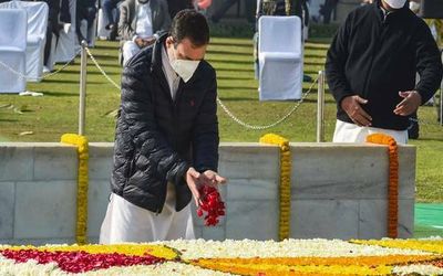 Gandhiji continues to be there where truth is alive: Rahul