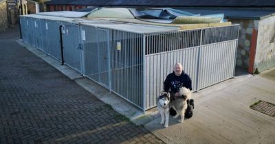 Animals evacuated after Storm Malik causes 'severe damage' to Newcastle Dog and Cat Shelter