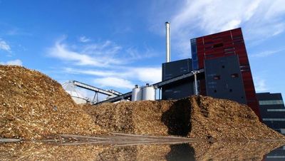 Japanese company refutes wood chip contract claim