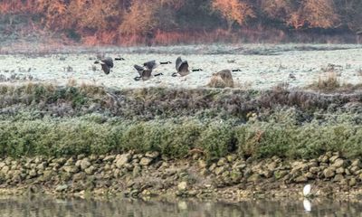 The Environment Agency plays a robust role in combating pollution