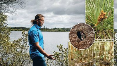 Tears of the moon make Belmont shine at the end of the line