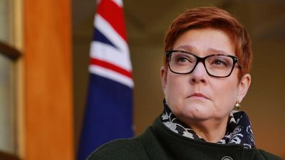 Foreign Minister Marise Payne to visit France in opportunity to repair relations after submarine spat