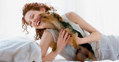 10 tips how to fall asleep faster and get better night's kip