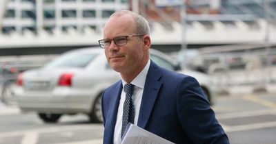 Simon Coveney refuses to say if text messages over Foreign Affairs party have been deleted