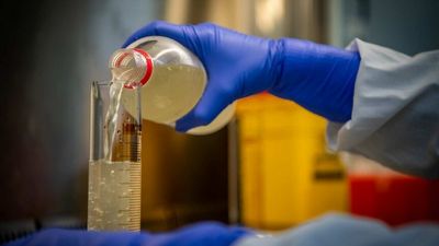 COVID sewage surveillance scaled back, but experts say data is crucial