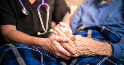 Cannabis could hold key to preventing neurodegenerative diseases like Parkinson's