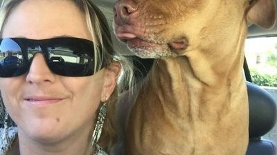 Two accused killers jailed for manslaughter in shooting death of Brisbane woman Megan Kirley