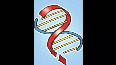 Male infertility gene: International research has city DNA