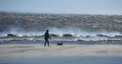 Storm Corrie: Met Office hour-by-hour weather forecast as heavy winds batter North East