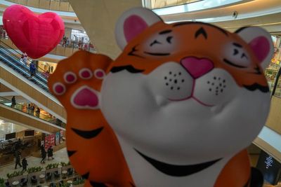 Celebrations for Year of the Tiger are muted, but bring hope