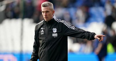 'Irons in the fire if I need to react' – Steve Morison's verdict on Cardiff City's deadline day and the youngster who could go