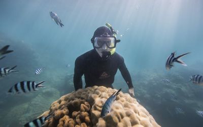 Funding for the Reef: A one billion dollar drop in the ocean