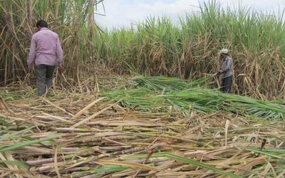 Child labourers rescued in north Karnataka