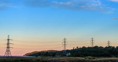 Snowdonia landscape to be transformed as major pylon removal project starts this year