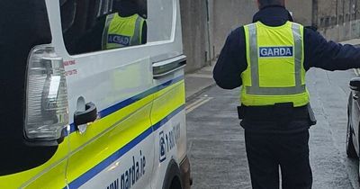 Gardai launch criminal investigation after damage done to car in Drogheda driveway