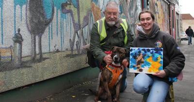 Banksy the rescue dog recreates famous art while waiting for a new home