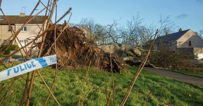 Scots woman killed after being struck by tree amid Storm Malik named locally