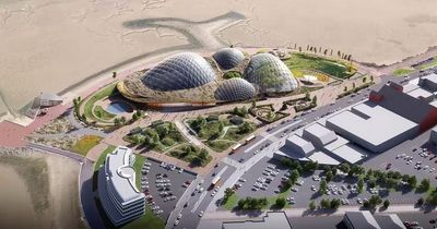 How the Eden Project North will look as £125m seaside attraction gets go ahead