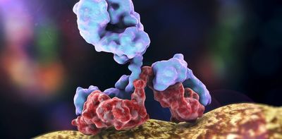 COVID: WHO recommends two new treatments – here's how they work