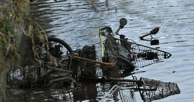 The River Trolley: The Swansea waterway clogged full of old supermarket shopping trolleys