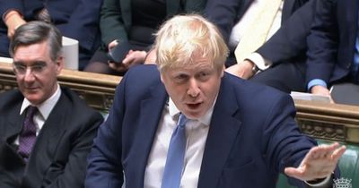 'Boris Johnson is not remorseful, he only shows sensitivity towards his own survival'