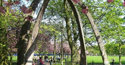 Edinburgh's jawbone arch deemed 'too fragile' to return to its spot in the Meadows