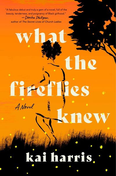 Review: Unique narrator propels 'What the Fireflies Knew'