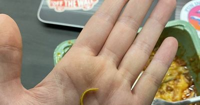 Tesco customer shocked to find piece of wood inside lasagne