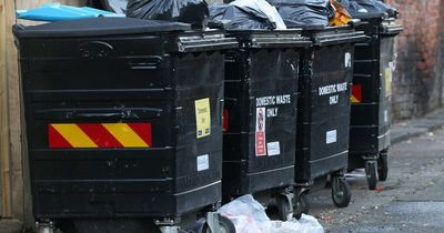 Blight of rubbish and fly-tipping: Residents in Arthur's Hill share their frustration and praise litter cleaning volunteers