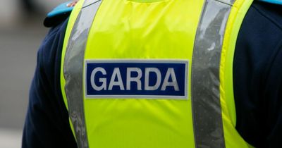 Concern as 87 gardai currently suspended for 'theft, drugs, assault' and other offences