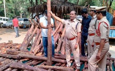 Ground zero action plan to curb felling of red sanders