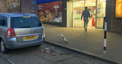 Elderly Edinburgh woman mounted pavement and crashed as children played nearby