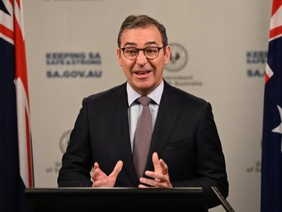 SA past peak of Omicron outbreak: premier