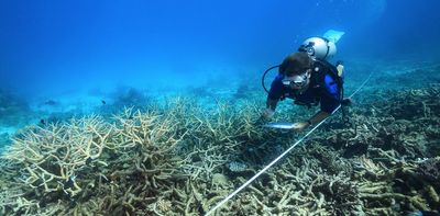 The $1 billion Great Barrier Reef funding is nonsensical. Australians, and their natural wonder, deserve so much better