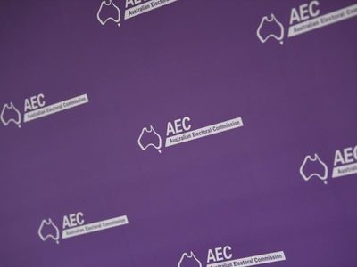 Political donation data feeds reform call