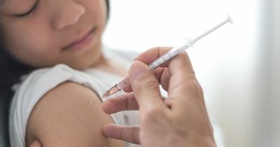 Measles warning: Parents told get kids jabbed against deadly disease before school starts