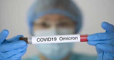 Latest Omicron subvariant 'even more infectious than the original' according to new study