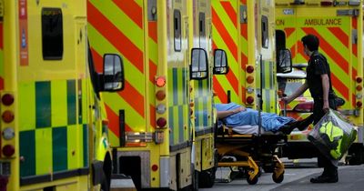 Covid in Bristol: Latest hospital admissions as four people battling on ventilators