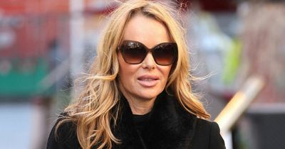 Amanda Holden rumoured to be The Masked Singer's Panda as 'costume' is seen in her car