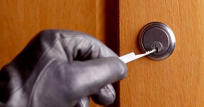 Ex-burglars reveal the four types of social media post they use to pick targets