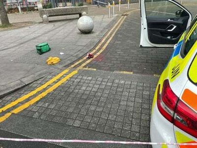 Woman, 52, ‘slashed with machete’ on North London High Road