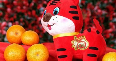 Lunar New Year: How to say 'happy new year' in Mandarin and Cantonese