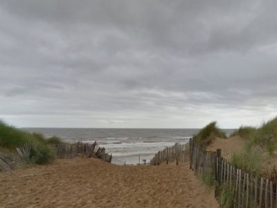 Old tobacco waste site to be transformed to support sand lizards and rare toads